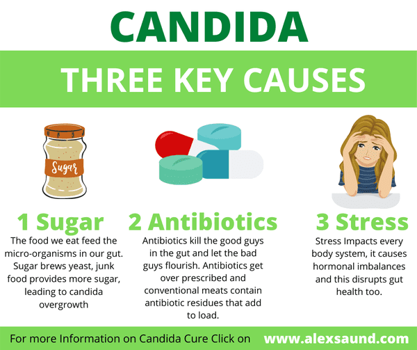 Candida Cure Tips | Perfect Natural Yeast Infection Remedies